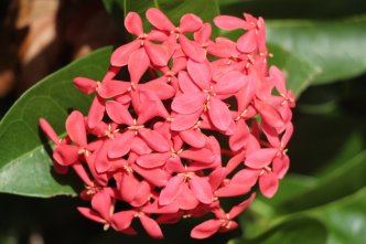 7 Sleep-Promoting Foods